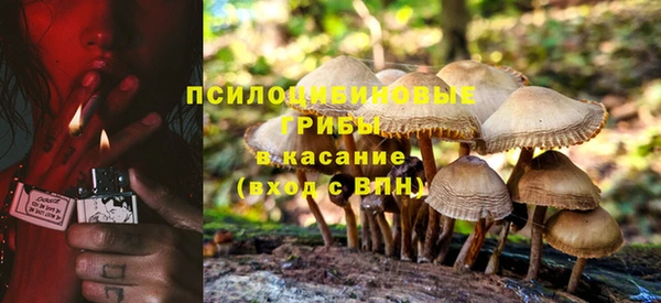 ALPHA-PVP Горняк