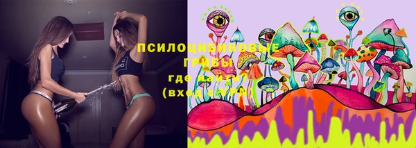 альфа пвп Горно-Алтайск