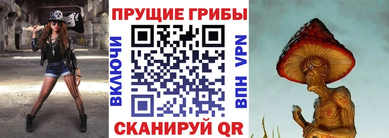 Псилоцибиновые грибы GOLDEN TEACHER  купить закладку  Дыгулыбгей 
